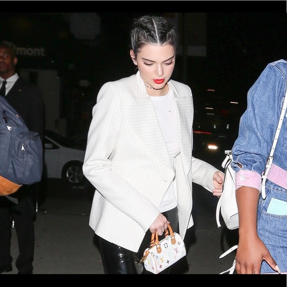 Louis Vuitton speedy multicolor mini bag - Picture 2 of 15